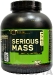 Optimum Nutrition Serious Mass
