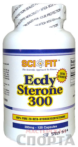 Фото Тестостерон и ГР EcdySterone 300 - 120 капс